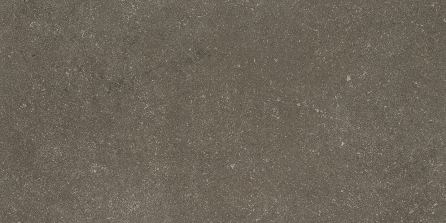 Cotto D'este Buxy Cendre naturalna 50x100 cm gr. 4 mm